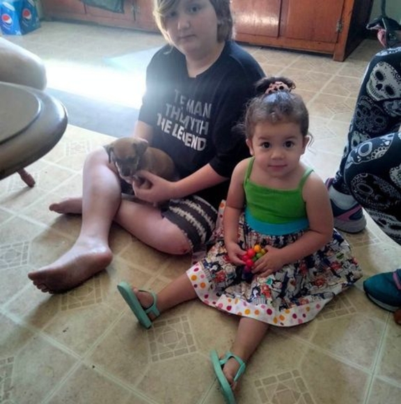 Meet your Posher, Rose - Picture 1 of 1